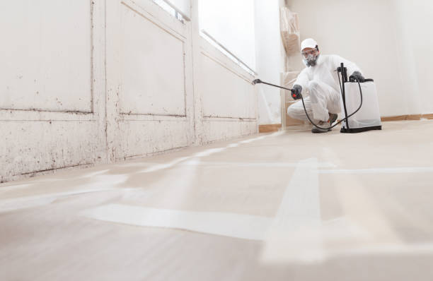 24/7 Emergency Mold Cleanup experts in Verona, VA
